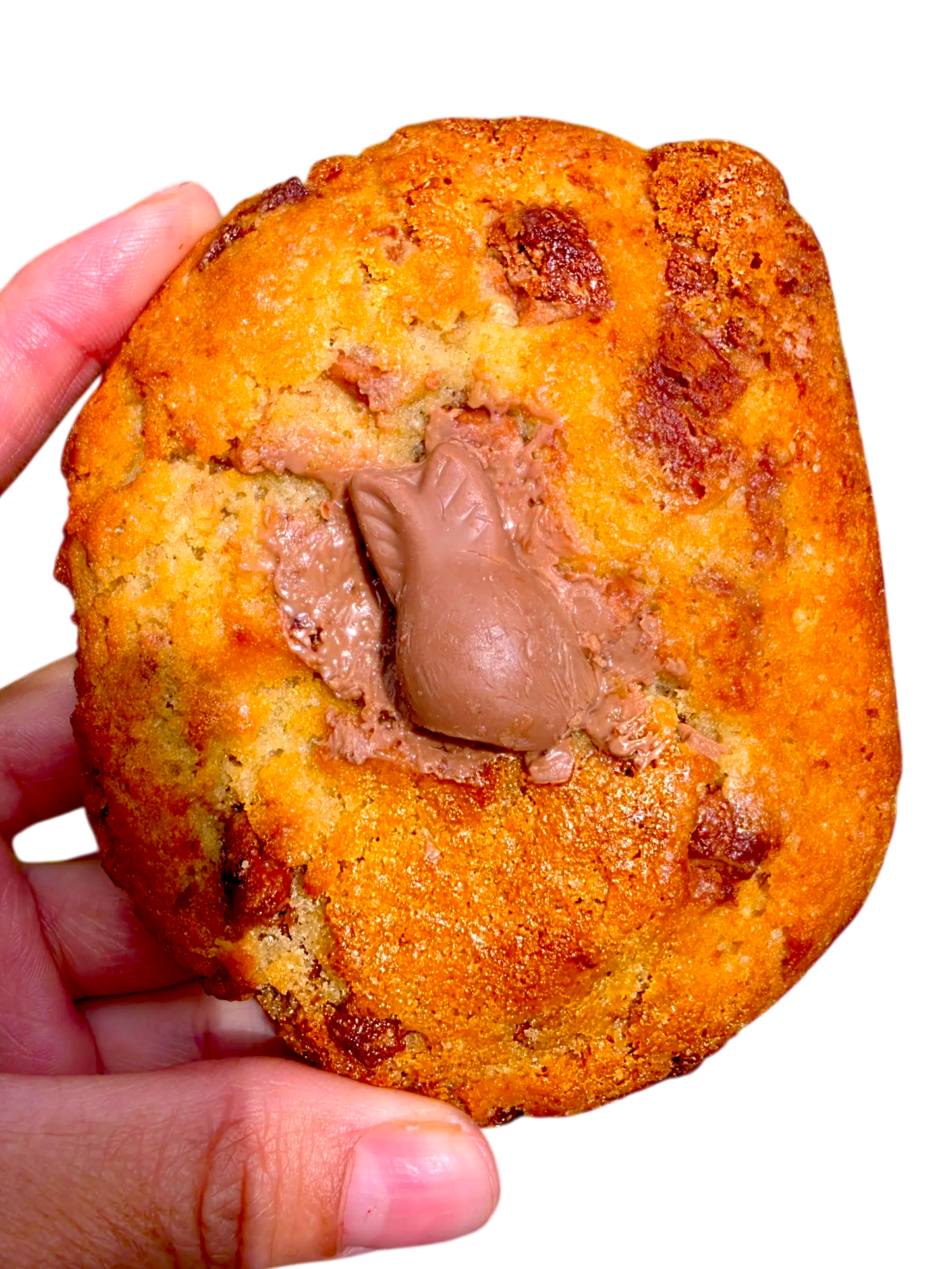 Galleta Conejito Turín