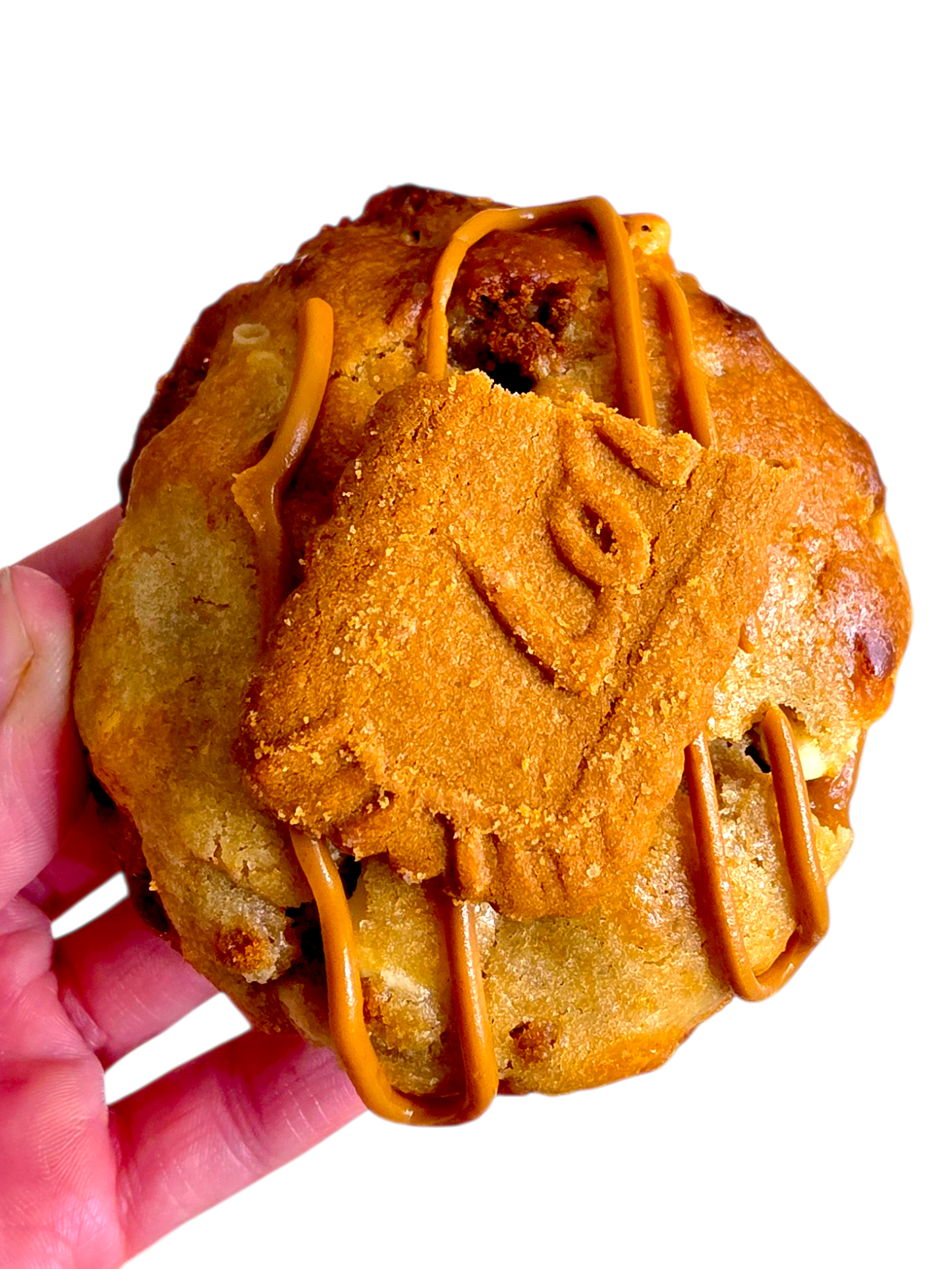 Galleta Lotus